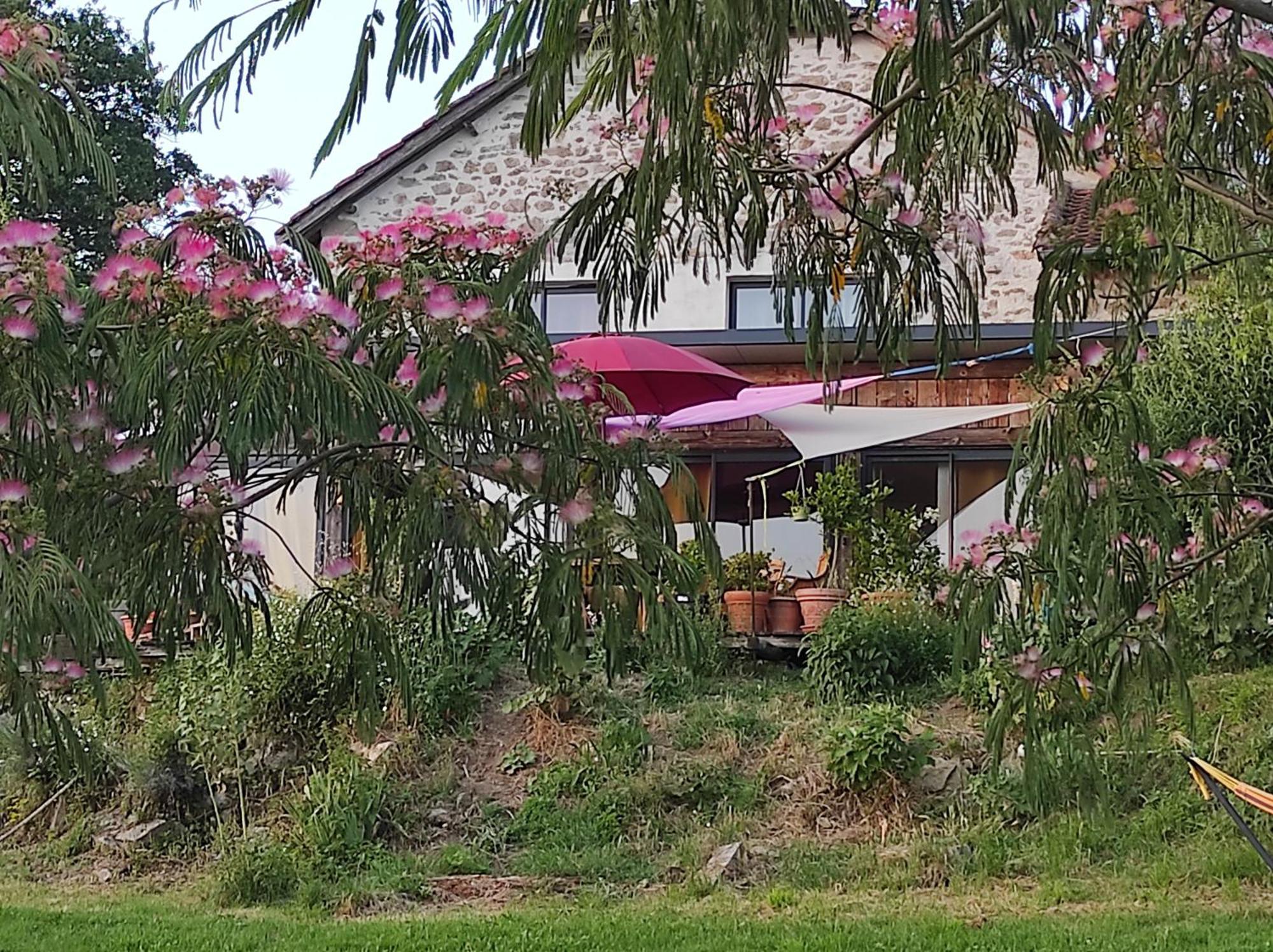Bout De Cote Bed & Breakfast Lacam-d'Ourcet ภายนอก รูปภาพ