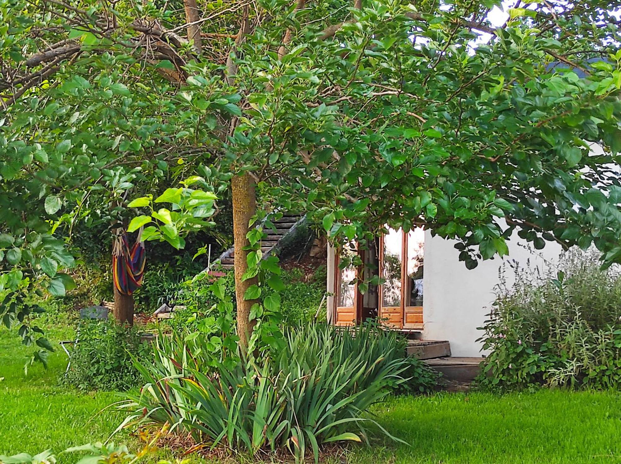 Bout De Cote Bed & Breakfast Lacam-d'Ourcet ภายนอก รูปภาพ