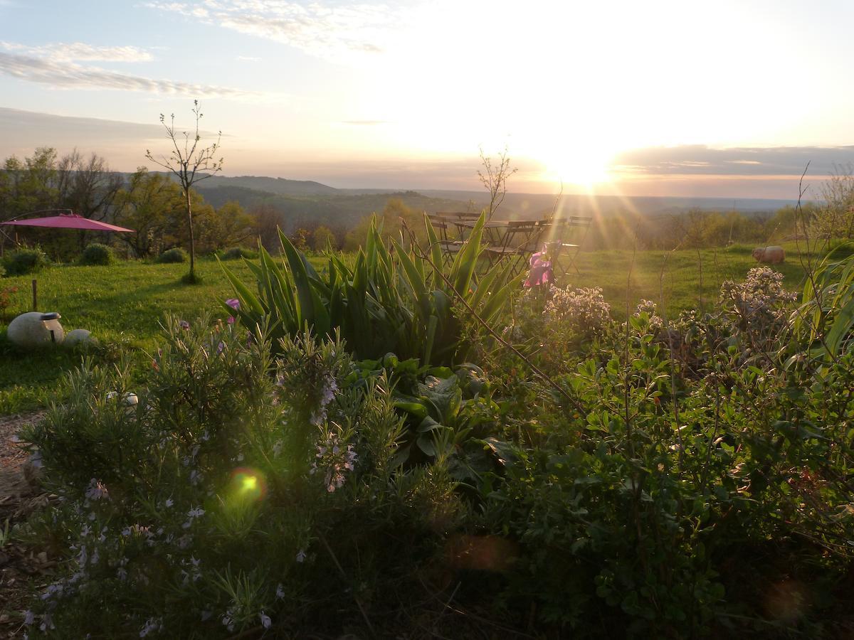 Bout De Cote Bed & Breakfast Lacam-d'Ourcet ภายนอก รูปภาพ